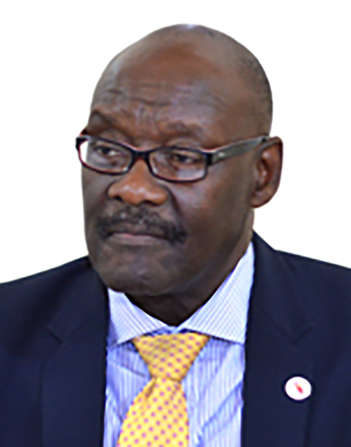 Hon. Dr. Pagwesese David Parirenyatwa